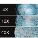40-1600X Observation Microscope Binoculaire Complet