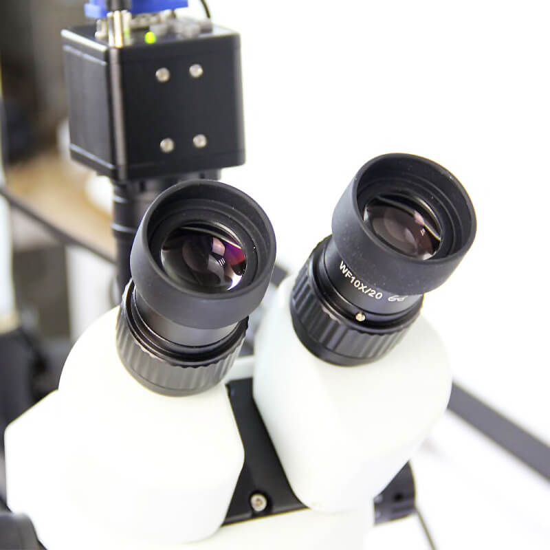 Bras Longs microscope trinoculaire Affichage electronique HD