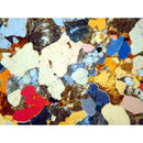 Experience Microscope Polarisant Classique