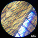 Kit microscope découverte pour enfant 48 pièces