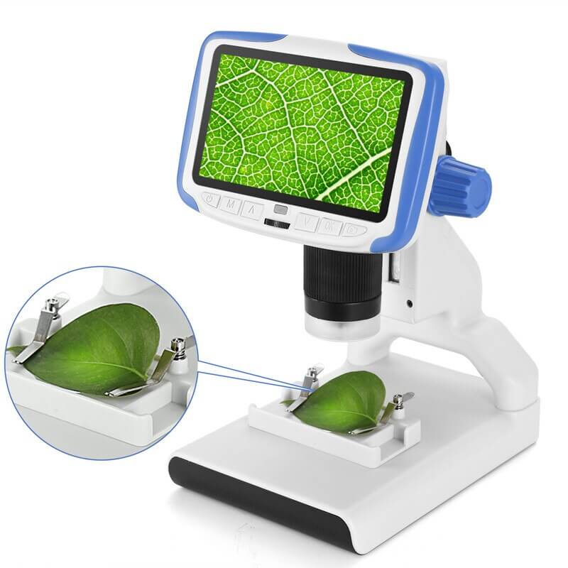 Microscope portatif Photo/vidéo, écran d'affichage LED, caméra pour enfants