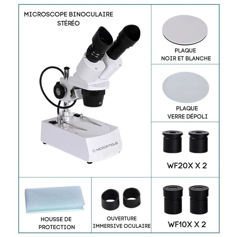 Microscope Binoculaire Stéréo Affuté structure
