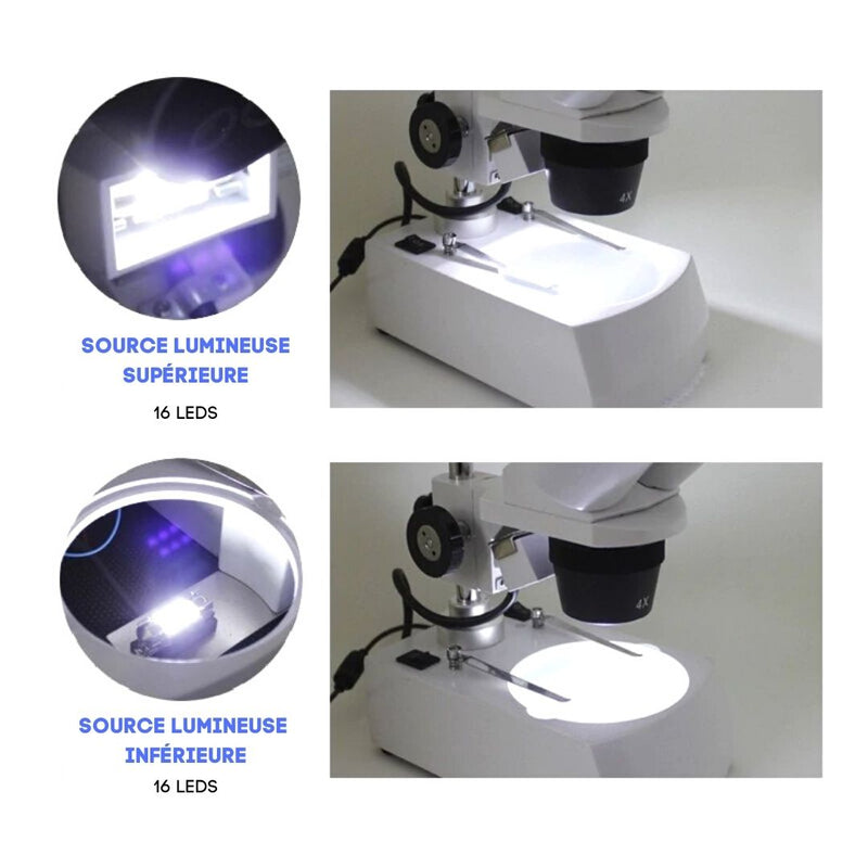 microscope binoculaire source lumineuse