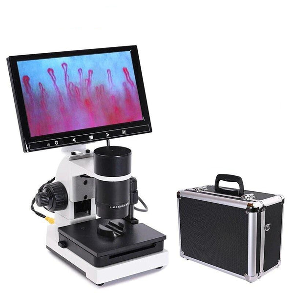 Microscope Microcirculation Numerique