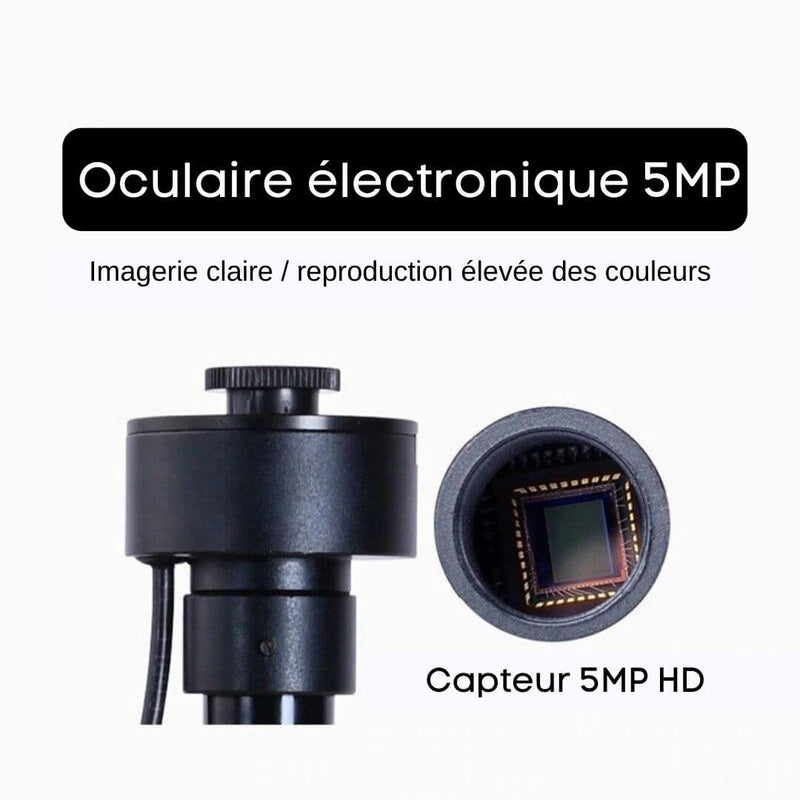 Microscope Monoculaire Spermatozoides 5MP USB HD oculaire électronique