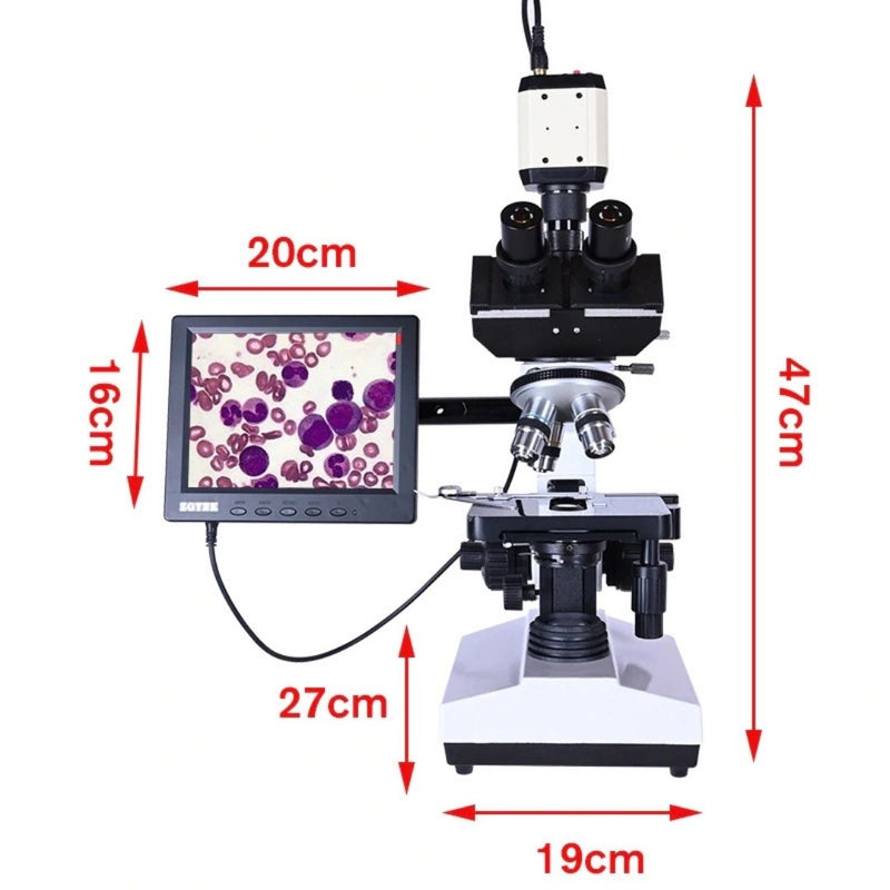 Microscope Trinoculaire Expert taille