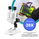 Microscope binoculaire Grossissement