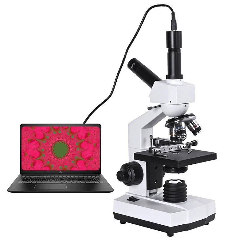 Tuword Microscope Binoculaire Composé 40-1000X, Double éclairage LED Et Microscope Biologique A Deux Couches Pour Adultes Et Etudiants Avec Support De Telephone Et Lames De Microscope Preparees Tuword Microscope Binoculaire Composé 40-1000X, Double éclairage LED Et Microscope Biologique A Deux Couches Pour Adultes Et Etudiants Avec Support De Telephone Et Lames De Microscope Preparees