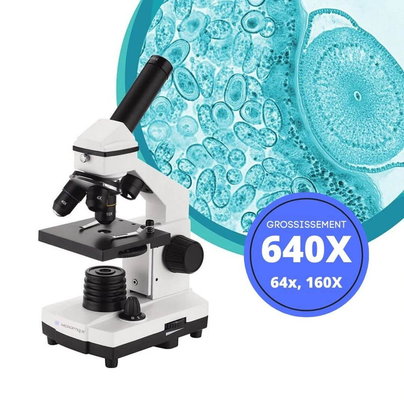 Microscope classique grossissement