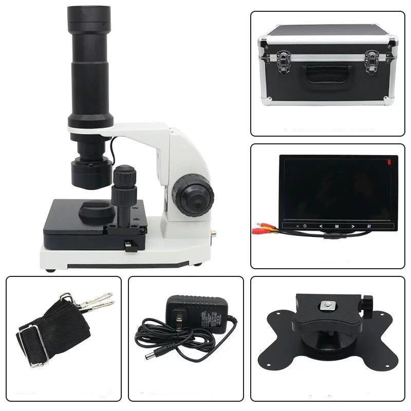 Microcirculation Microscope taille
