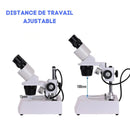 distance de travail ajustable micoscope binoculaire