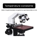 Microscope Monoculaire Spermatozoides reglage temperature