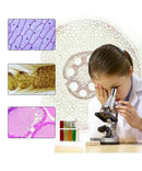 microscope monoculaire enfant X300 