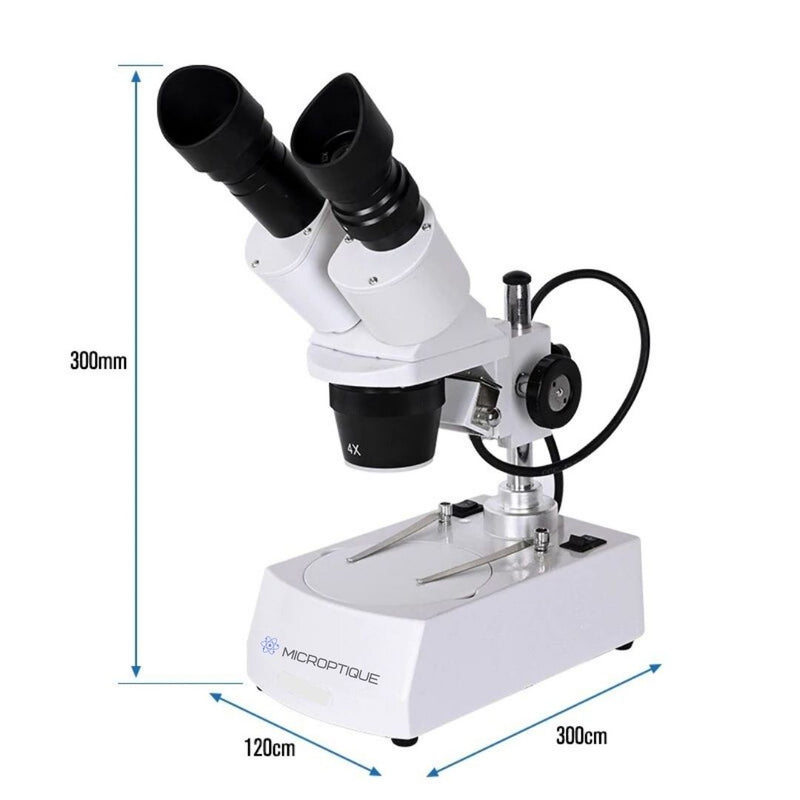 microscope binoculaire taille