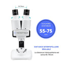 Microscope binoculaire ajustables