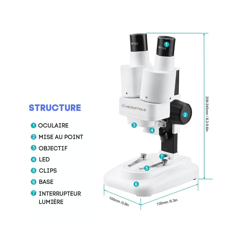 Microscope binoculaire structure