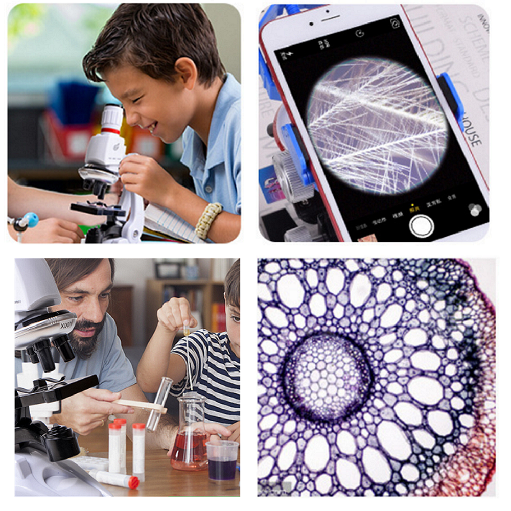 Microscope éducatif enfants MARSEE 100x 400x 1200x Jouet scientifique avec lumière LED Microscope éducatif enfants MARSEE 100x 400x 1200x Jouet scientifique avec lumière LED