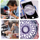 microscope enfant analyse