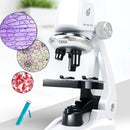 microscope enfant complet