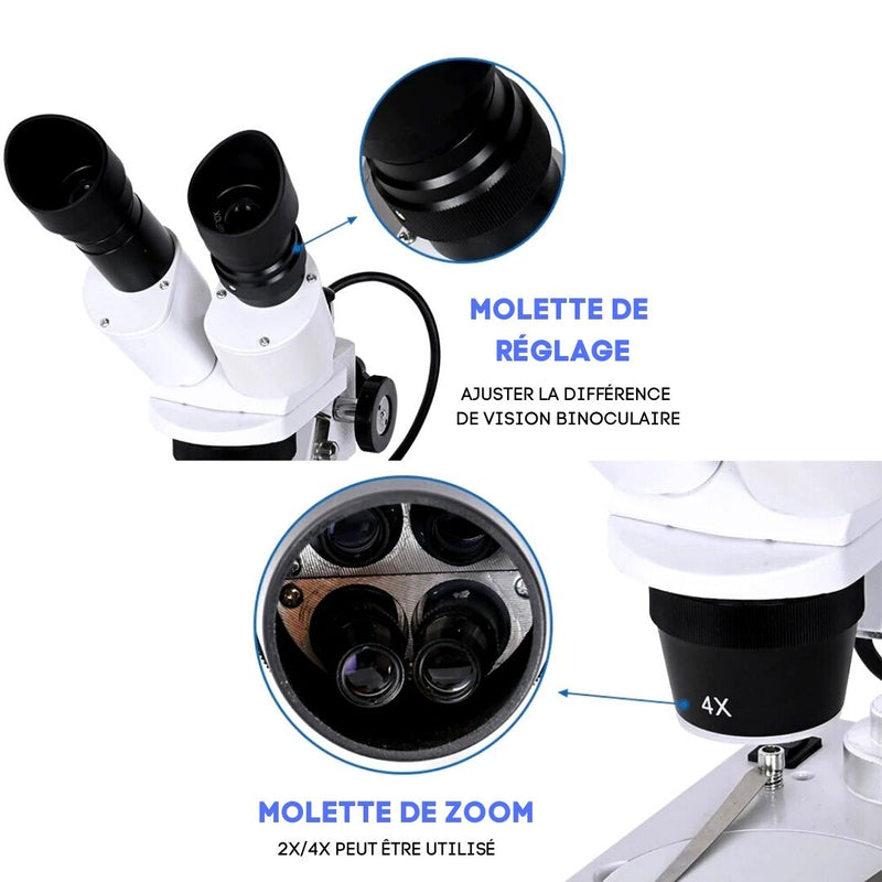 molette de réglagle microscope binoculaire