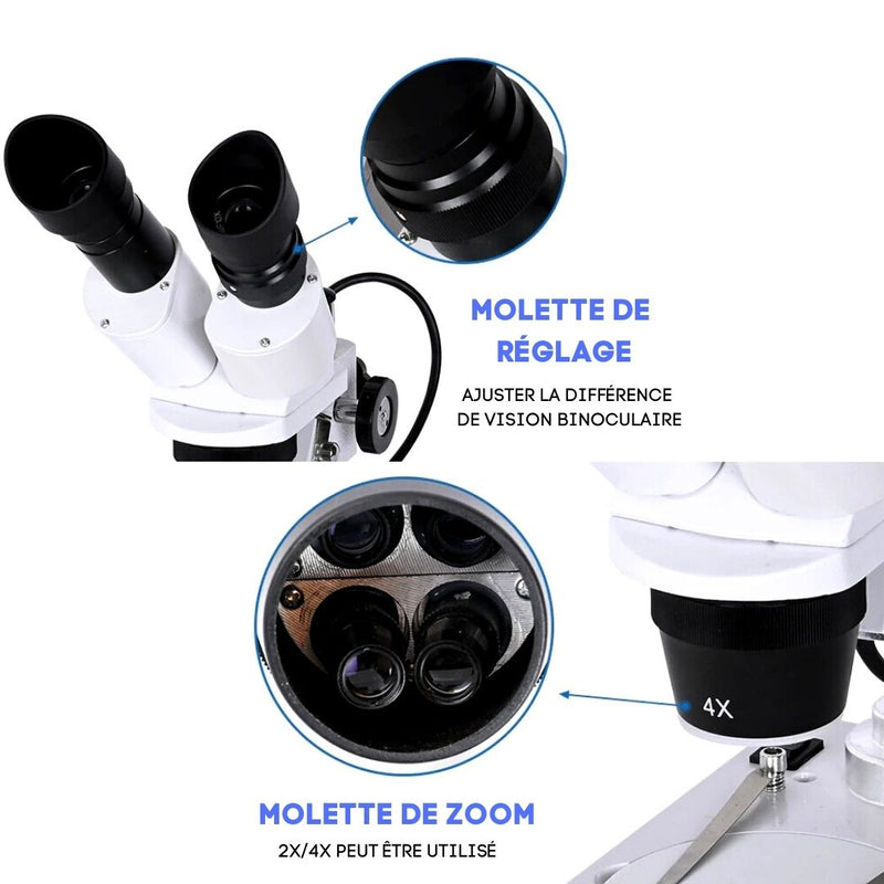 Molette Microscope 20X-80X Microscope Binoculaire Stéréo l'Affuté
