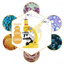 observation microscope monoculaire incilnable  