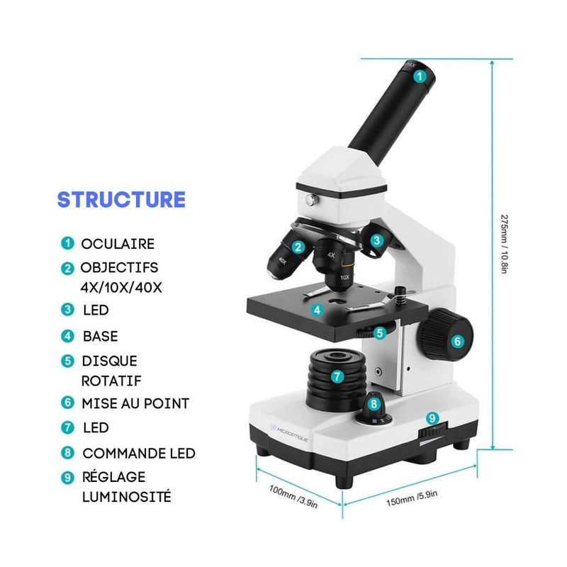 structure microscope biologique
